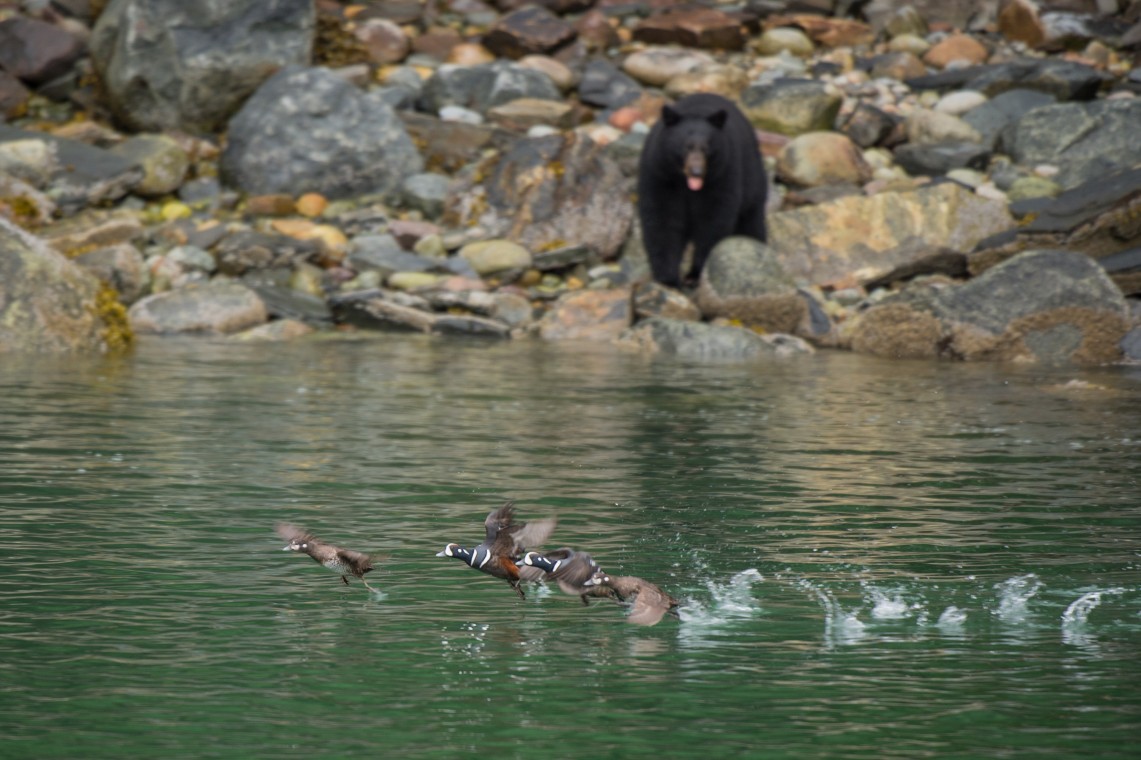 18juneauphoto1.com_FullRes